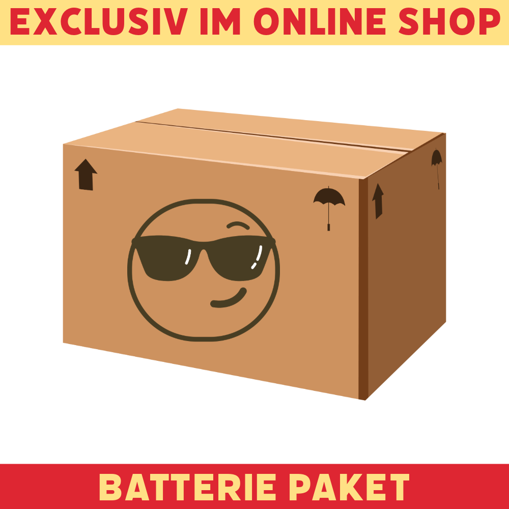 Aktion: Batterie Paket